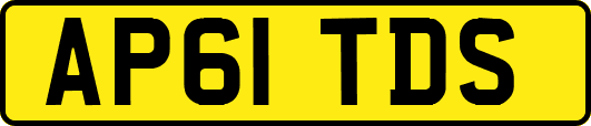 AP61TDS