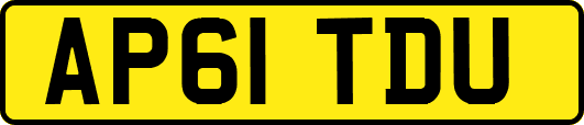 AP61TDU