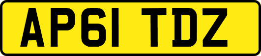 AP61TDZ