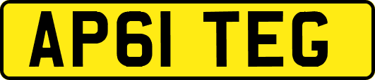 AP61TEG
