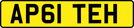 AP61TEH