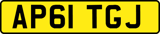 AP61TGJ