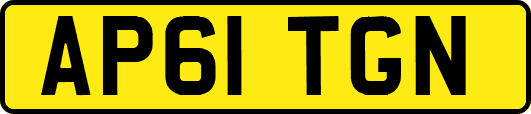 AP61TGN