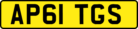 AP61TGS