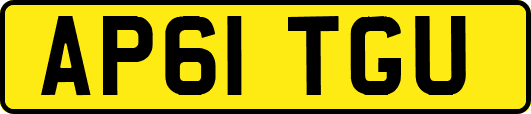 AP61TGU
