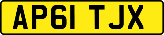 AP61TJX