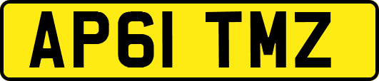 AP61TMZ