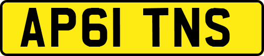 AP61TNS