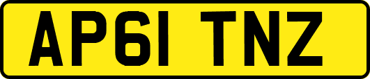 AP61TNZ