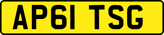 AP61TSG