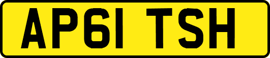 AP61TSH