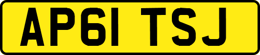 AP61TSJ