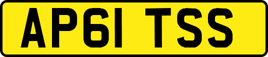 AP61TSS