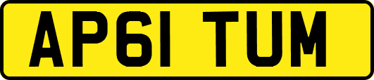 AP61TUM