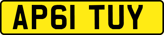 AP61TUY