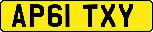 AP61TXY