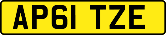AP61TZE