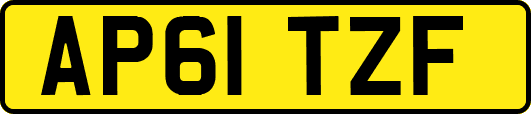 AP61TZF