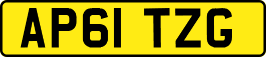 AP61TZG