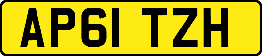 AP61TZH