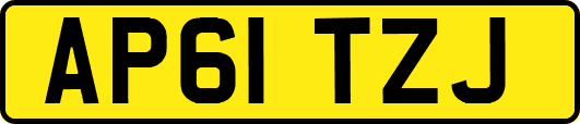 AP61TZJ