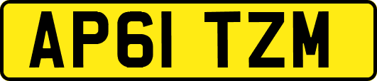 AP61TZM