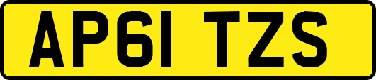 AP61TZS