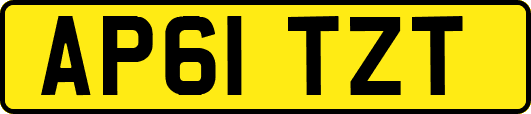 AP61TZT