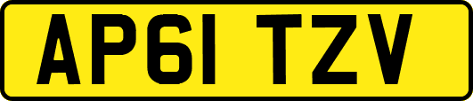 AP61TZV
