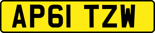 AP61TZW