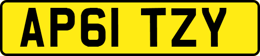 AP61TZY