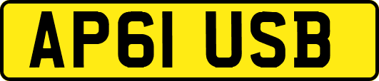 AP61USB