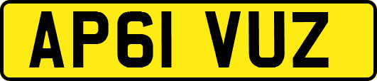 AP61VUZ