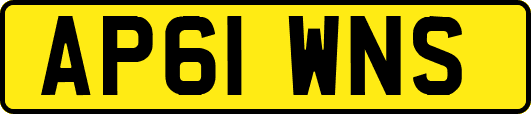 AP61WNS