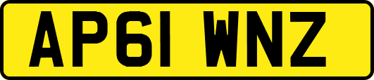 AP61WNZ