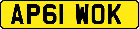 AP61WOK