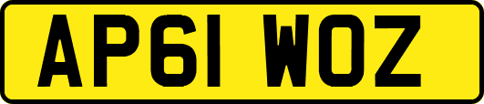 AP61WOZ