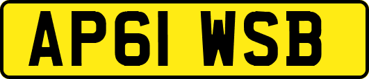 AP61WSB