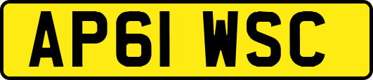 AP61WSC