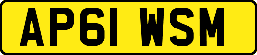 AP61WSM