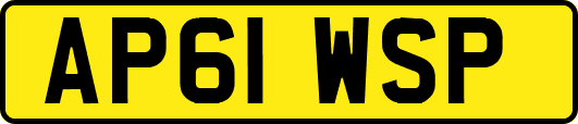 AP61WSP