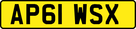 AP61WSX