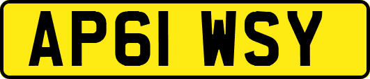 AP61WSY