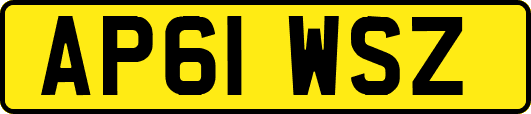 AP61WSZ
