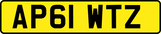 AP61WTZ