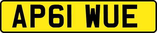 AP61WUE