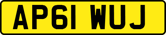 AP61WUJ