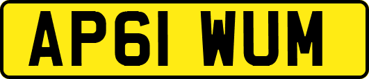 AP61WUM