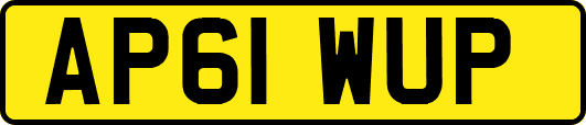 AP61WUP