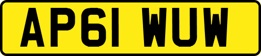 AP61WUW